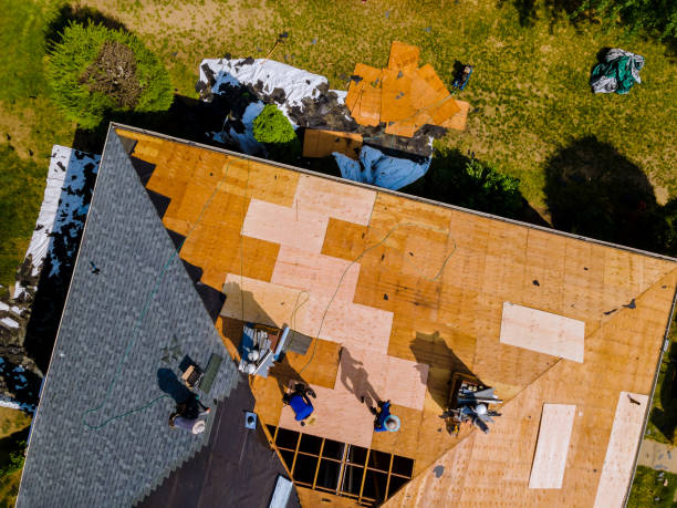 Roof Gutter Cleaning in Central, LA